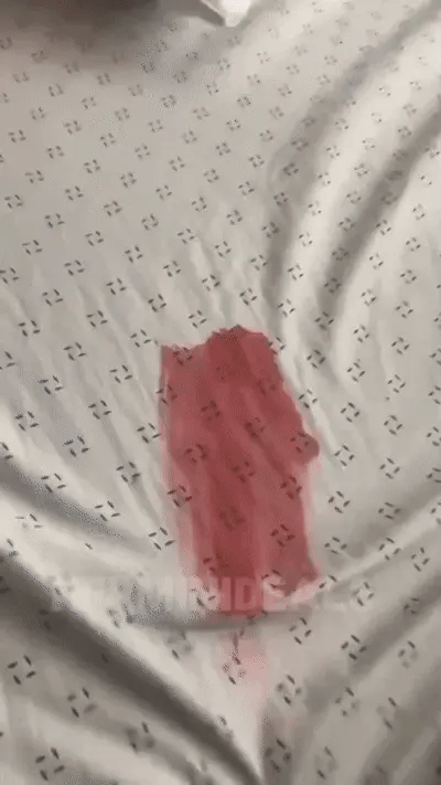 Messy Eater Stain Treater Spray